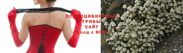 mdpv Нязепетровск