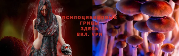 mdpv Аркадак