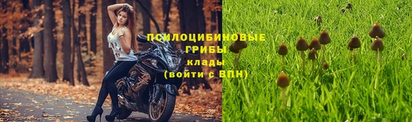mdpv Аркадак