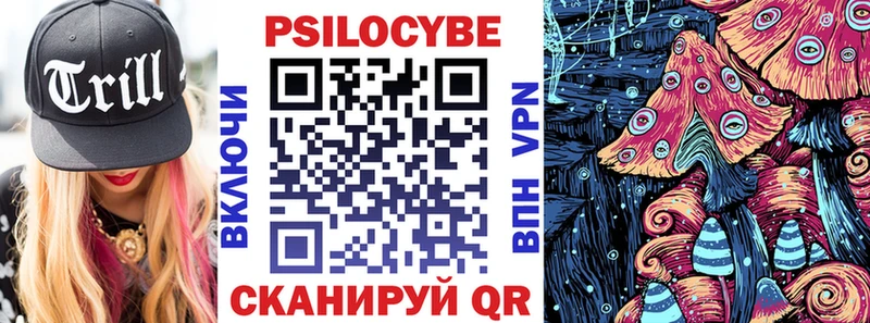 blacksprut как зайти  Полярные Зори  Псилоцибиновые грибы Magic Shrooms 